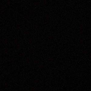 Meet your Posher, Griffin